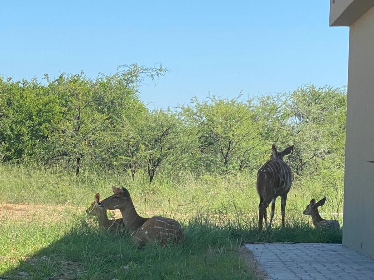 42@ Ditholo Game Lodge Thabazimbi Esterno foto