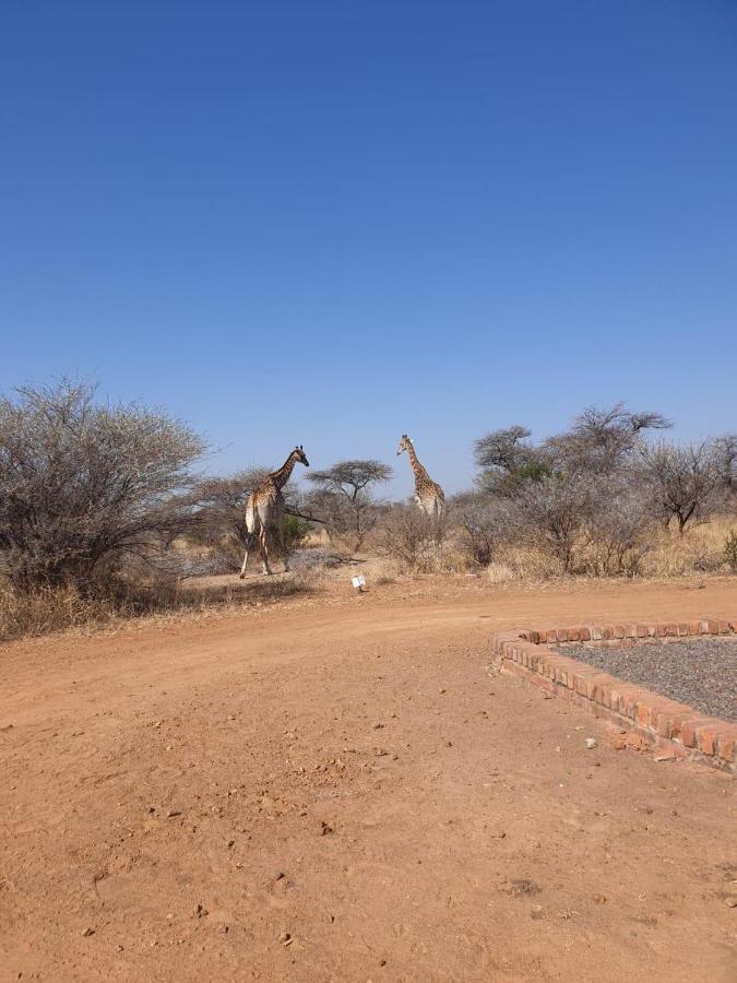 42@ Ditholo Game Lodge Thabazimbi Esterno foto