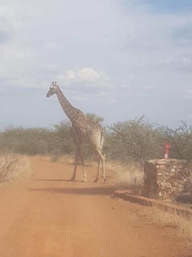 42@ Ditholo Game Lodge Thabazimbi Esterno foto